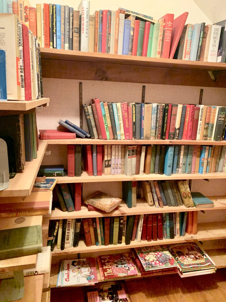 Book shelves full of books