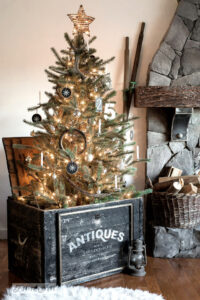 Christmas tree in wood crate