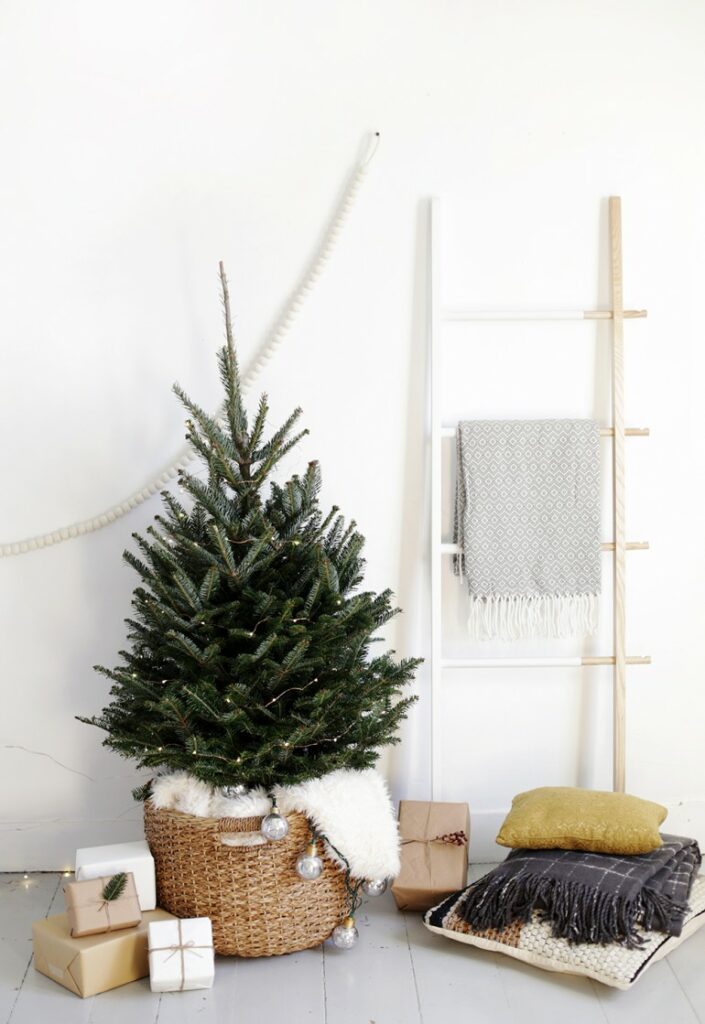 Christmas tree in basket