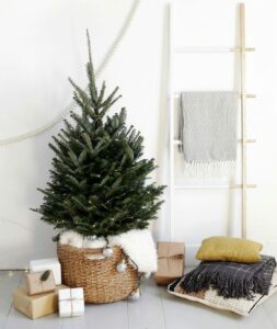 Christmas tree in basket