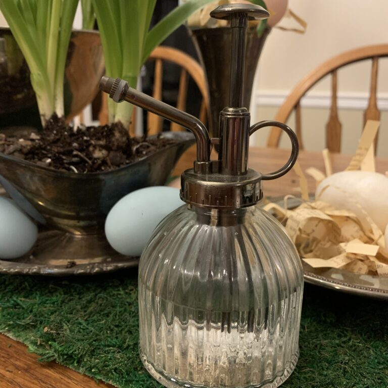 Glass spray bottle used to water indoor plants