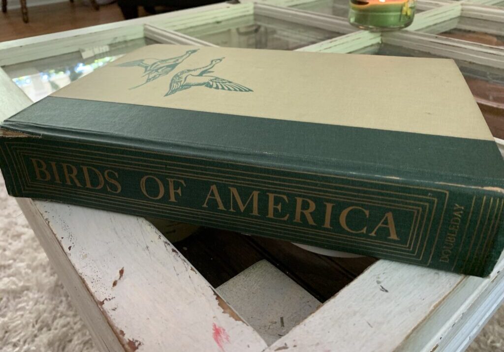 vintage Birds of America book